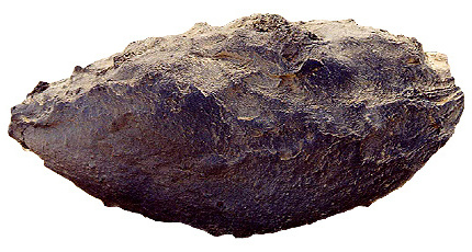 elp_2013_12_05_destin2