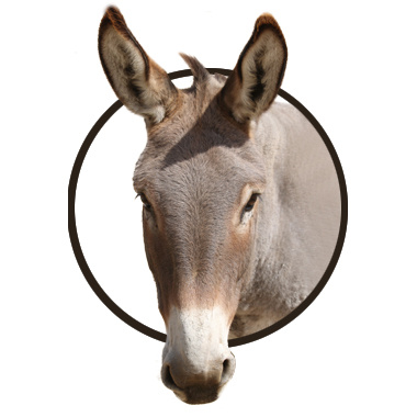 elp_2013_12_09_destin2